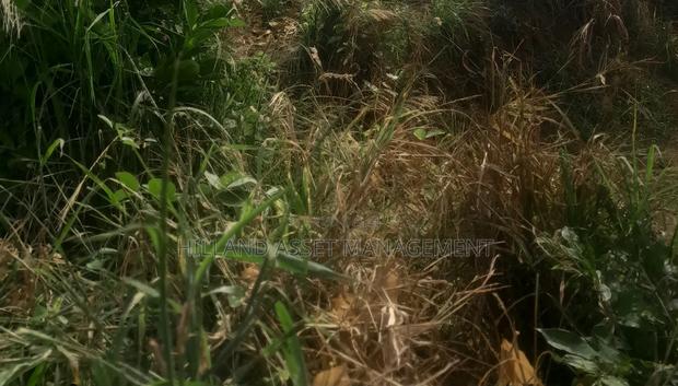 200 Plots Forsale at Adietem-Mpatado · Photo 6