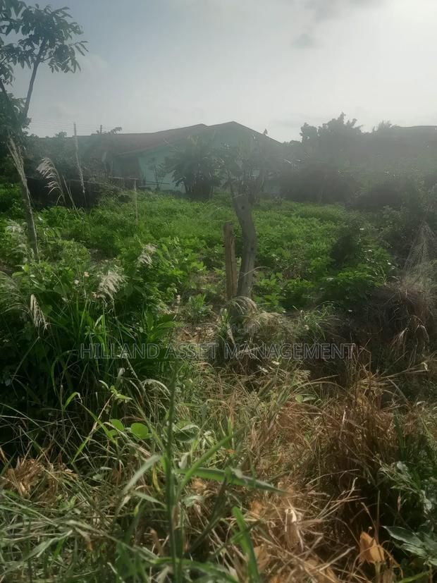 200 Plots Forsale at Adietem-Mpatado · Photo 7