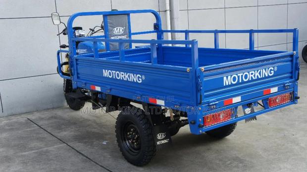 New Tricycle 2024 Blue · Photo 1