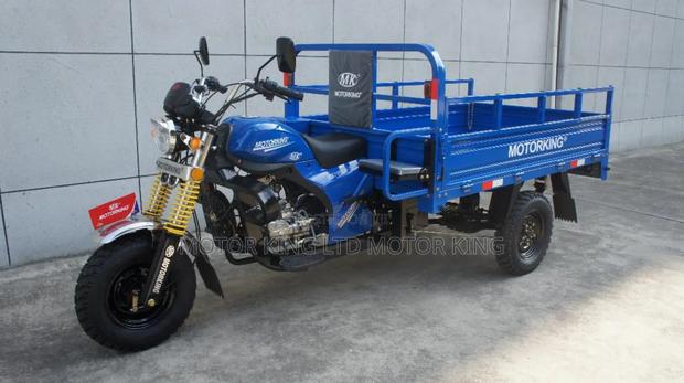 New Tricycle 2024 Blue · Photo 2