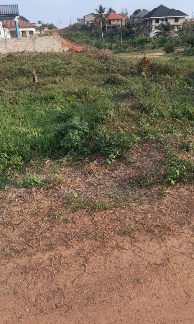 Land Forsale At Adietem-mpatado · Photo 4