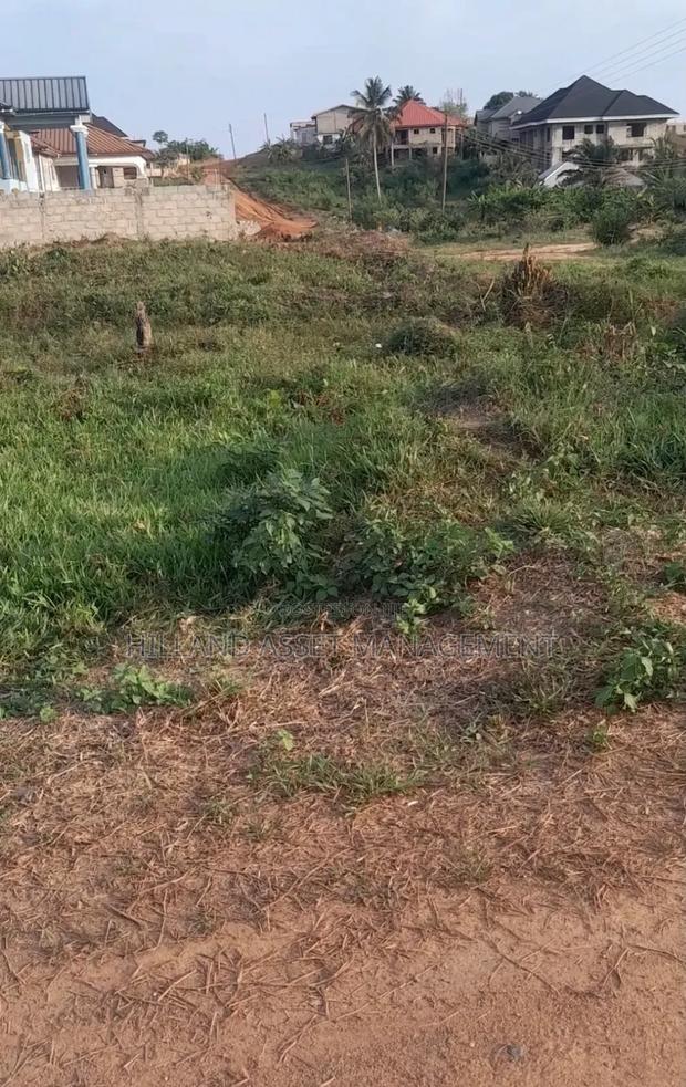 Land Forsale At Adietem-mpatado · Photo 5