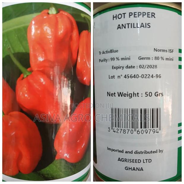 Hot Pepper Antillais (Habanero Pepper) 50grams · Photo 1