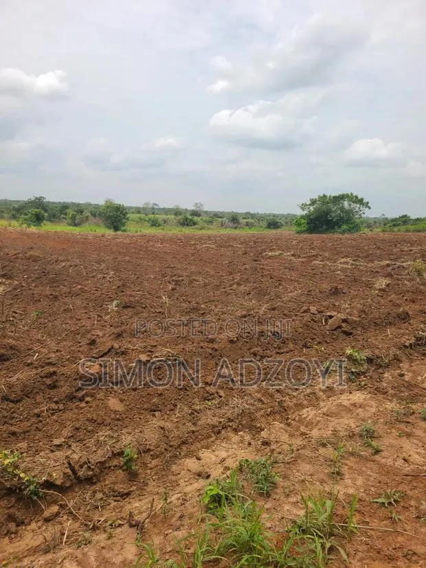 2000 Acres of Farm Land for Long-Term Lease · Photo 2