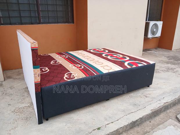 Gucci on Black Bed. · Photo 3