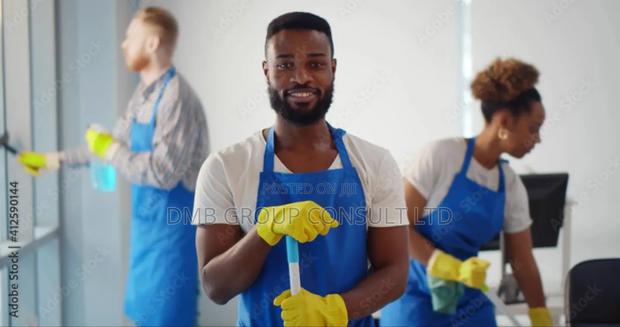 Cleaning and More · Photo 1