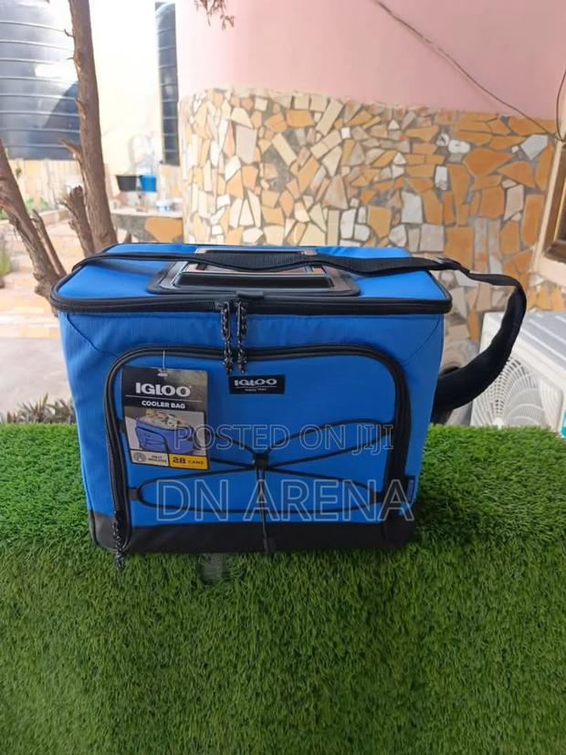 Igloo Insulated Cooler Bag 24 Cans Capacity · Photo 3