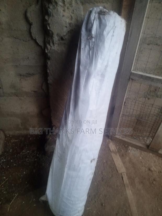 Wire Mesh for Rabbit Grasscutter Cages · Photo 2