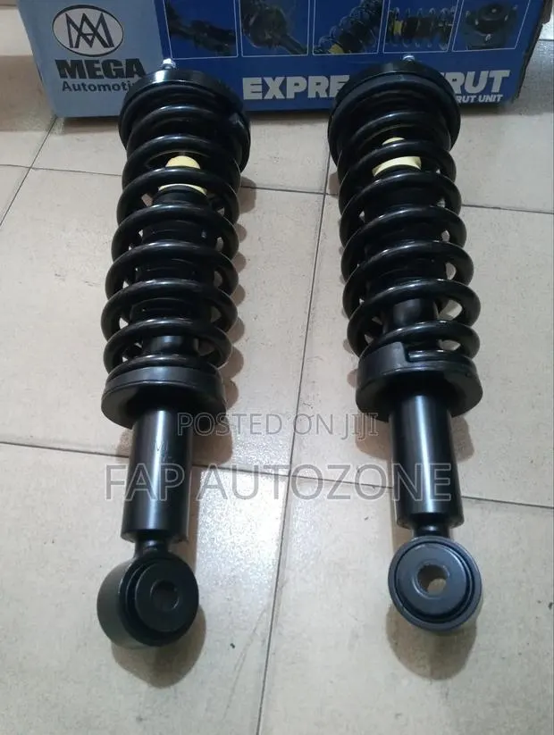 Authentic MEGA Ford F150 Complete Strut With Spring Assembly From USA · Photo 1