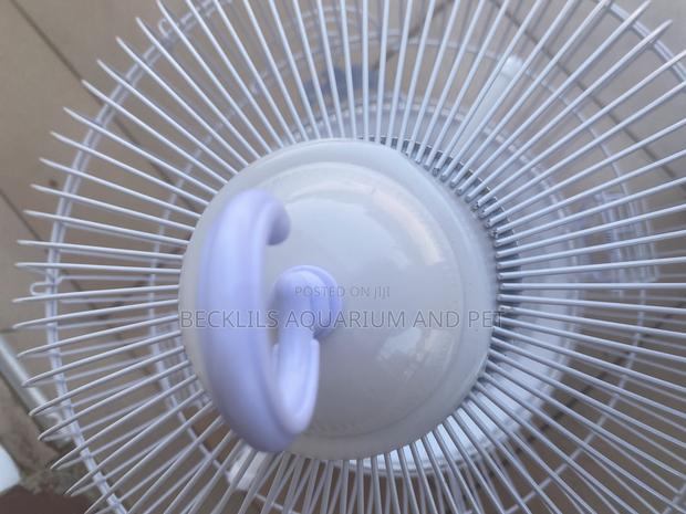 White Round Parrot Cages · Photo 4
