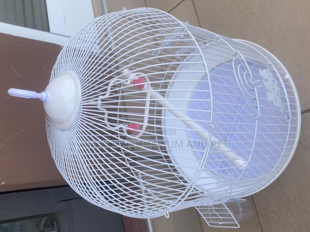 White Round Parrot Cages · Photo 1