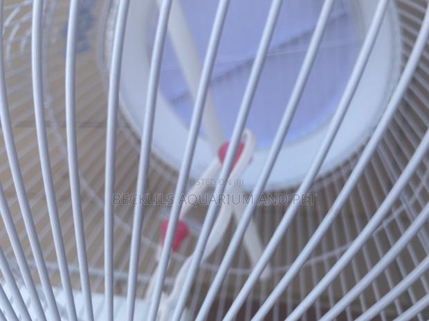 White Round Parrot Cages · Photo 3