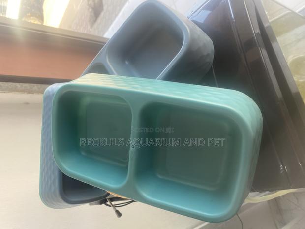2 in 1 Plastic Dog and Cat Bowls · Photo 1