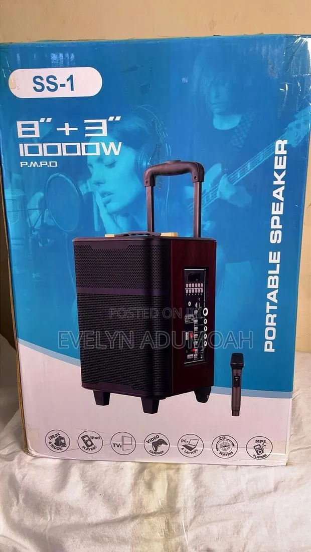 1000W Portable Speaker With Wireless Microphone – SS-1 · Photo 1