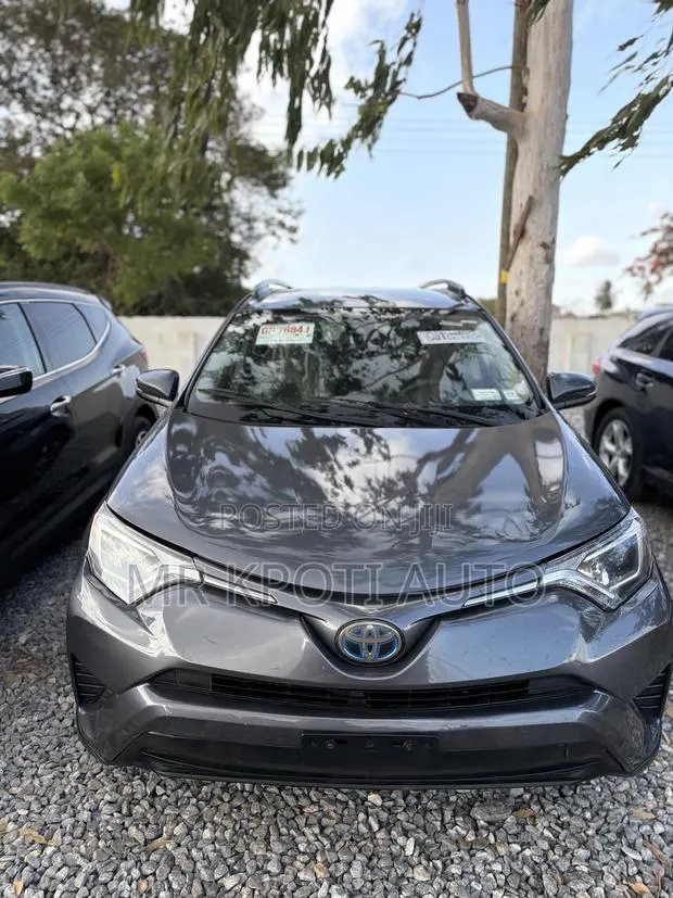 Toyota RAV4 2018 Gray · Photo 1