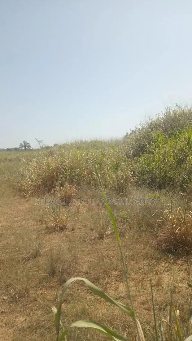 Alpha Estate Land for Sale at Nsawam Otukwadzo · Photo 1