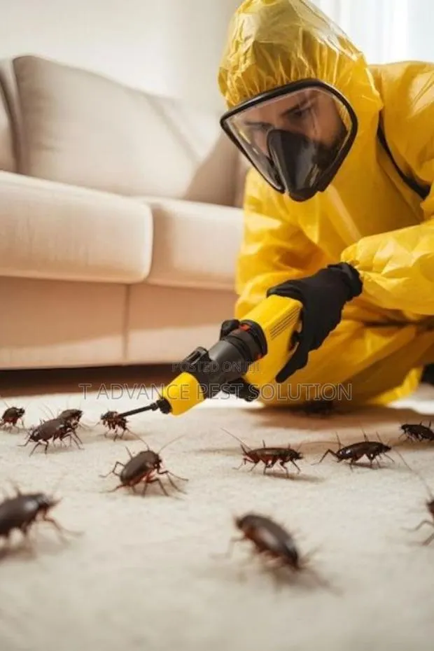 T Advance Pest Solution · Photo 1