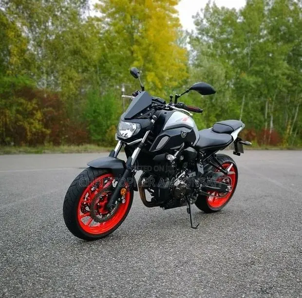 Yamaha MT-07 2020 Gray · Photo 1