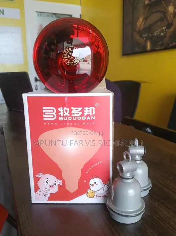 Heat Bulbs With Ceramic Holders · Photo 1