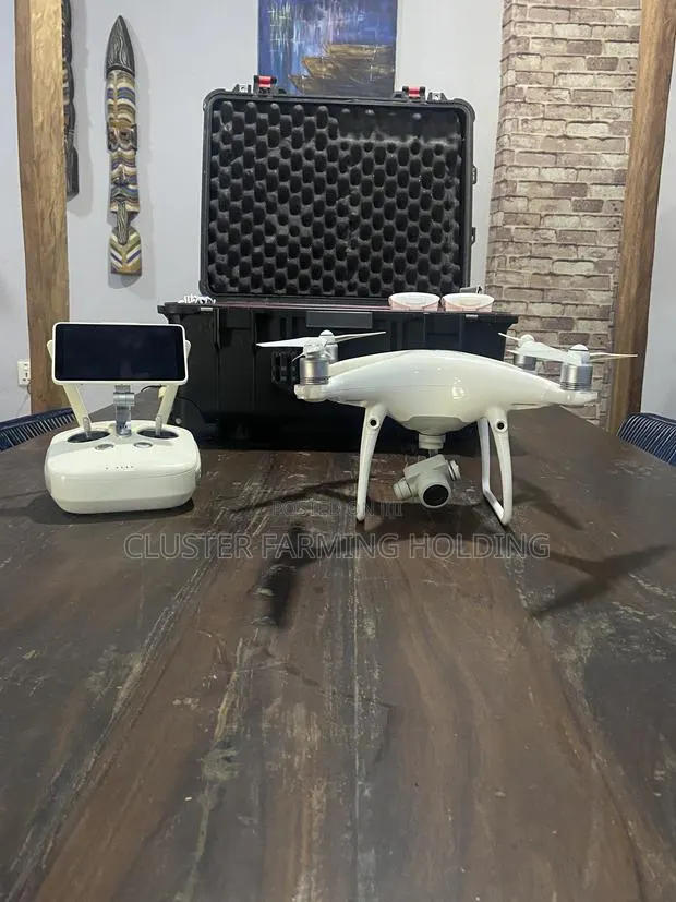 DJI Phantom 4 Pro+ V2.0 – Complete Professional Package · Photo 1
