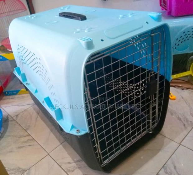 Spacing Dog Cages · Photo 1