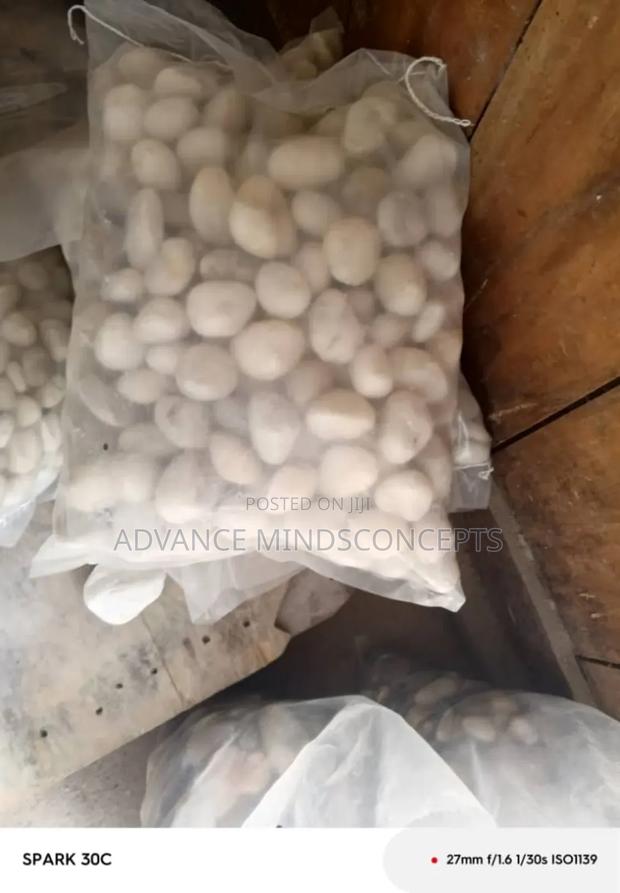 White Pebble Stone · Photo 3