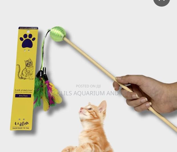 Cat Play Toys · Photo 1