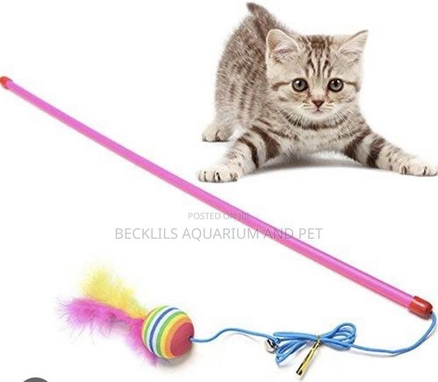 Cat Play Toys · Photo 2