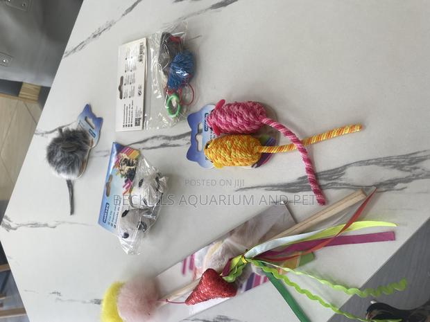 Cat Play Toys and Accessories · Photo 2