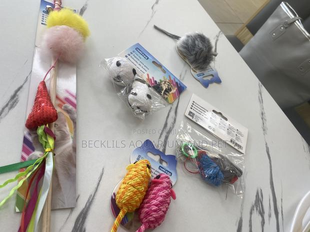Cat Play Toys and Accessories · Photo 1