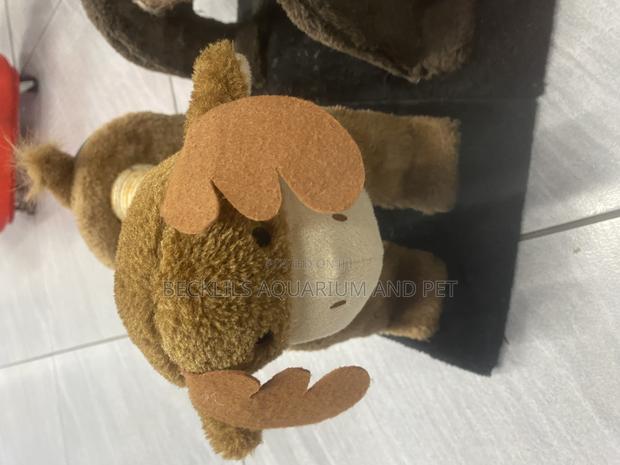 Cat Scratching Playing Accessories · Photo 3