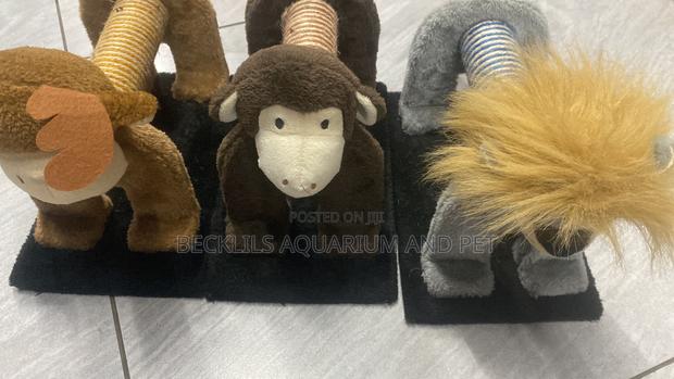Cat Scratching Playing Accessories · Photo 1