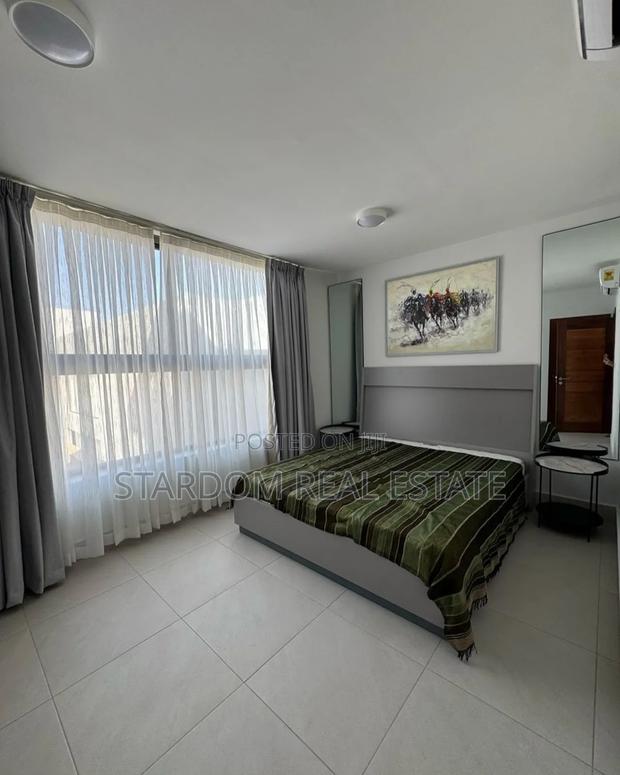 Furnished 3bdrm Duplex in Cantonments for rent · Photo 8