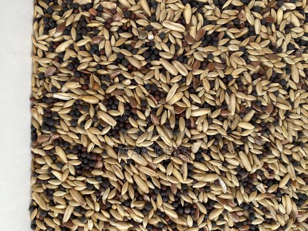 Bird Seed/ Canary Feed · Photo 2
