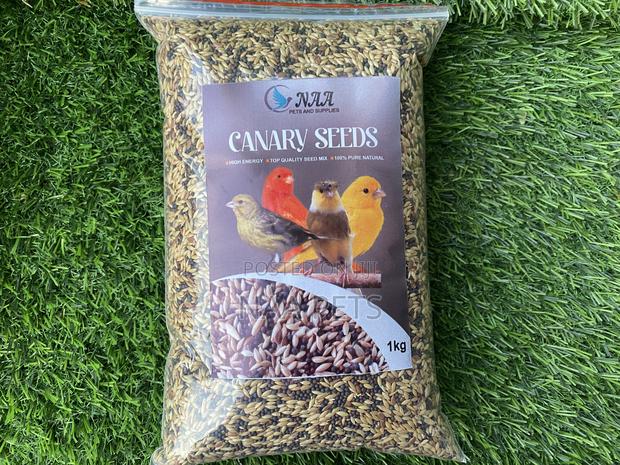 Bird Seed/ Canary Feed · Photo 3