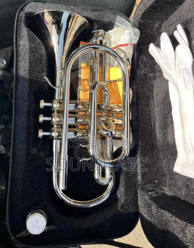Yamaha Ycr-335s Cornet Silver-Plated Brass Instrument · Photo 2