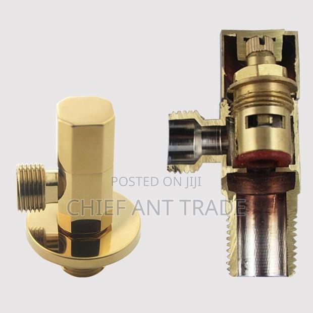 Golden Angle Valves Df-603 · Photo 2