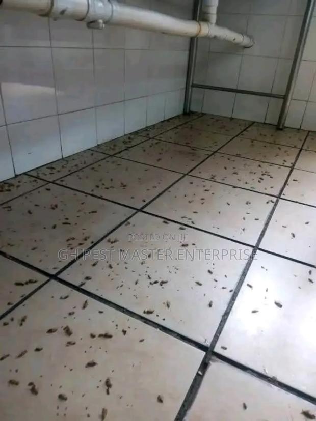 Professional Fumigation and Pests Control Service · Photo 3