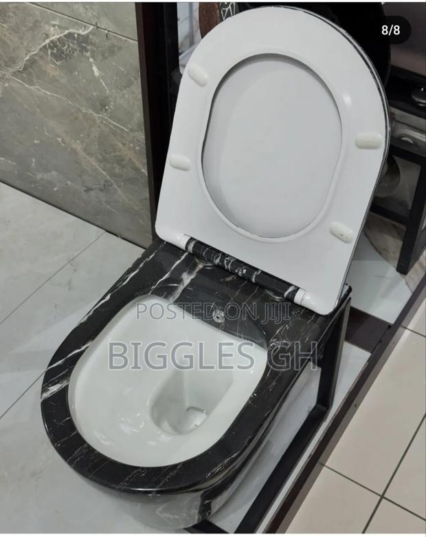 Concealed Wc- Wall Hung Wc · Photo 3