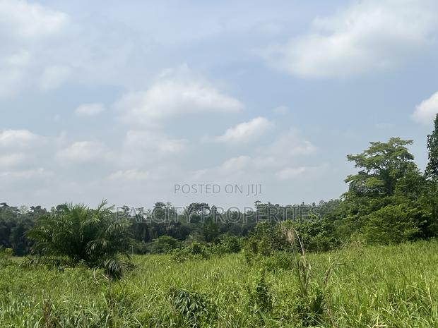 100 Acres of Farm Land for Sale in Effiduase Area · Photo 3