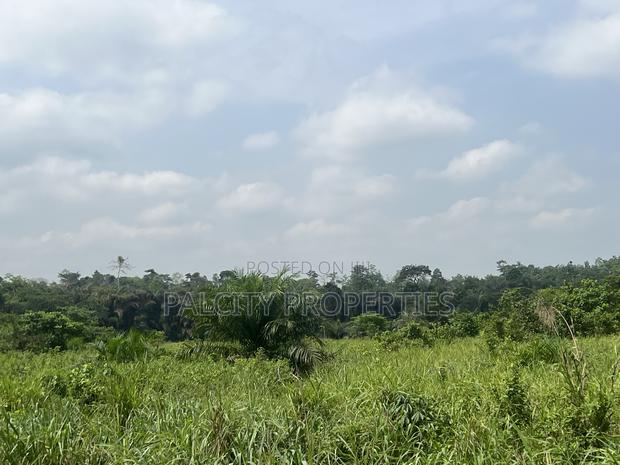 100 Acres of Farm Land for Sale in Effiduase Area · Photo 4