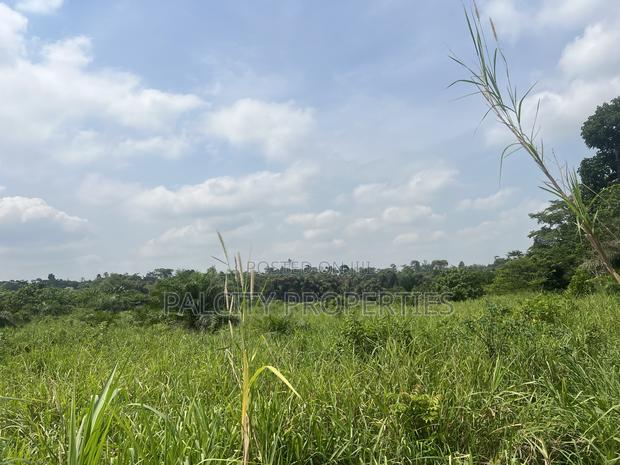 100 Acres of Farm Land for Sale in Effiduase Area · Photo 1