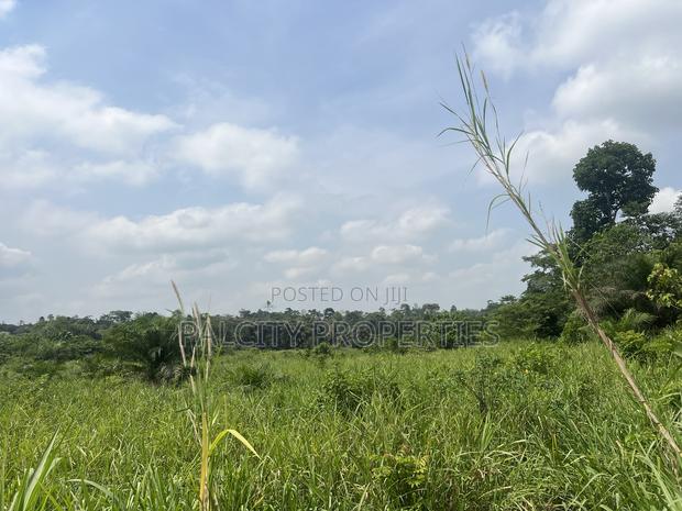 100 Acres of Farm Land for Sale in Effiduase Area · Photo 2