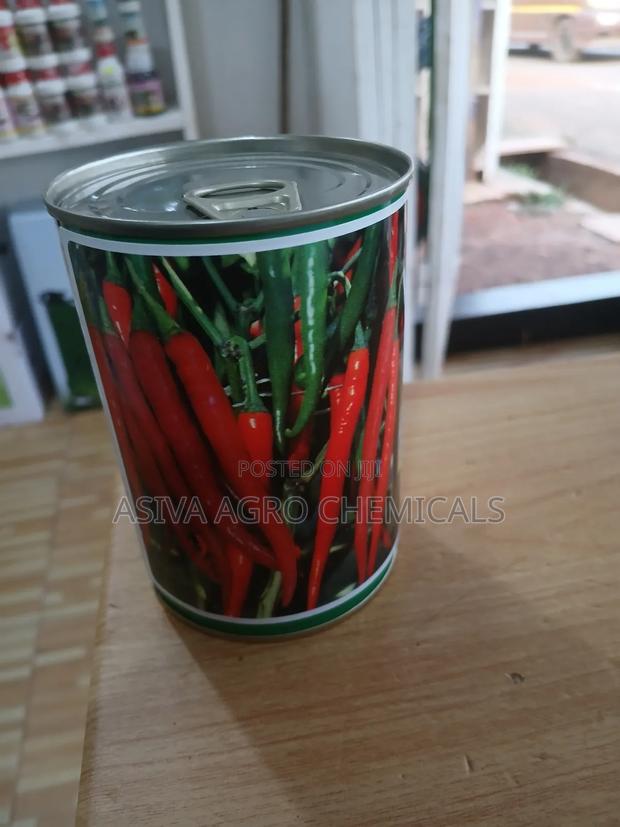 Cayenne Pepper (Chilli Pepper) Seeds · Photo 2