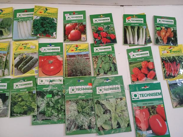 Vegetable Seeds · Photo 1