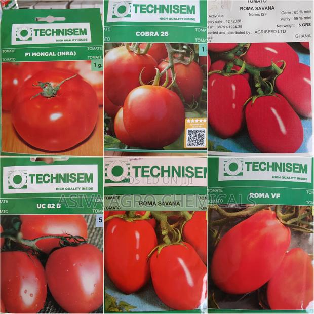 Tomato Seeds · Photo 1
