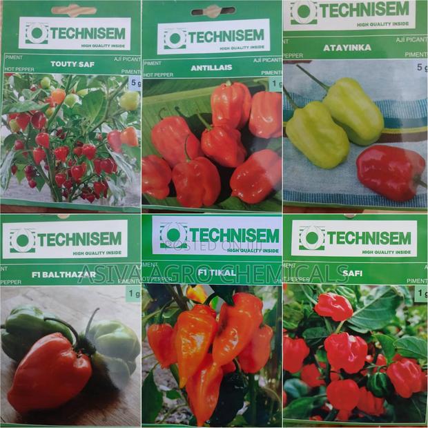 Pepper Seeds · Photo 1