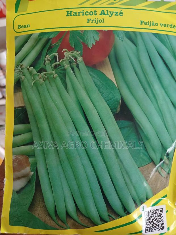 Beans Haricot (Green Beans) Seeds · Photo 1