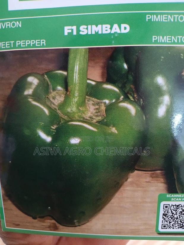 F1 Simbad Bell Pepper Seeds · Photo 3