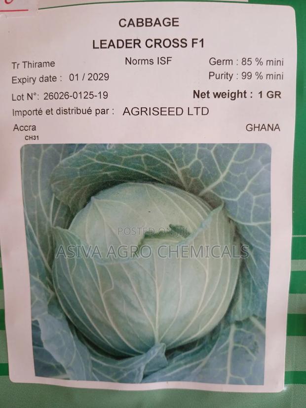 Cabbage(Red and Green) Seeds · Photo 2